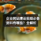 企业网站建设前期必备资料有哪些？全解析（图2）