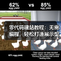零代码建站教程：无需编程，轻松打造展示型网站（图2）