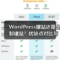 WordPress建站还是定制建站？优缺点对比与选择建议（图1）