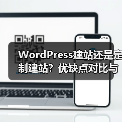WordPress建站还是定制建站？优缺点对比与选择建议（图3）