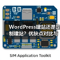 WordPress建站还是定制建站？优缺点对比与选择建议（图4）