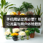 手机网站是否必要？移动流量与用户体验数据揭秘（图2）