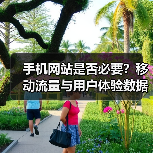 手机网站是否必要？移动流量与用户体验数据揭秘（图3）