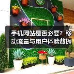 手机网站是否必要？移动流量与用户体验数据揭秘（图4）