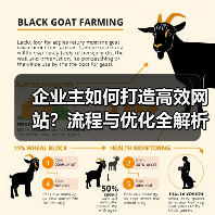 企业主如何打造高效网站？流程与优化全解析（图2）