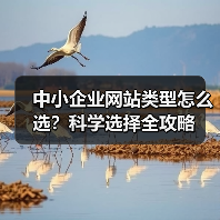中小企业网站类型怎么选？科学选择全攻略（图4）