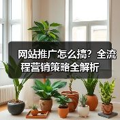 网站推广怎么搞？全流程营销策略全解析（图2）
