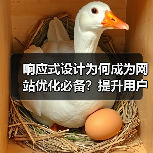 响应式设计为何成为网站优化必备？提升用户体验与移动适配全解析（图3）