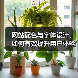 网站配色与字体设计，如何有效提升用户体验？（图1）