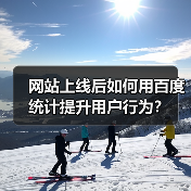 网站上线后如何用百度统计提升用户行为？（图4）