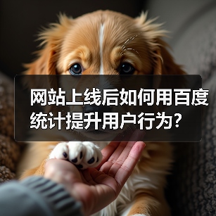 网站上线后如何用百度统计提升用户行为？（图3）