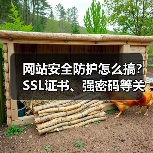 网站安全防护怎么搞？SSL证书、强密码等关键步骤详解（图3）