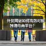 外贸网站如何高效对接跨境电商平台？（图2）