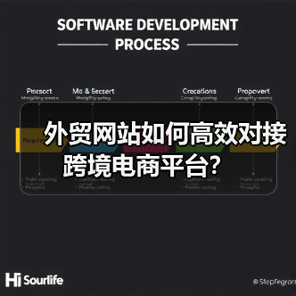 外贸网站如何高效对接跨境电商平台？（图3）