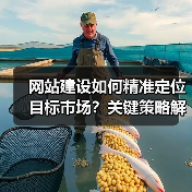 网站建设如何精准定位目标市场？关键策略解析（图3）