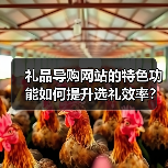 礼品导购网站的特色功能如何提升选礼效率？（图2）