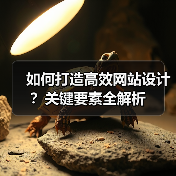 如何打造高效网站设计？关键要素全解析（图2）