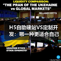 H5自助建站VS定制开发：哪一种更适合自己？（图4）