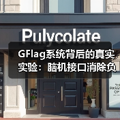 GFlag系统背后的真实实验：脑机接口消除负面情绪的惊天代价（图3）