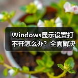Windows显示设置打不开怎么办？全面解决指南（图2）