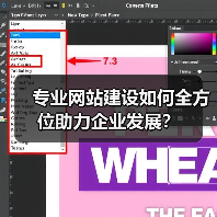 专业网站建设如何全方位助力企业发展?(图1) 专业网站建设如何全方位助力企业发展?(图1)