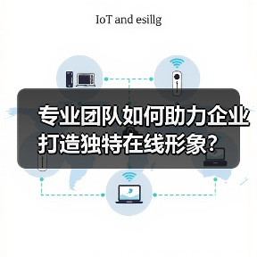 专业团队如何助力企业打造独特在线形象？（图1）