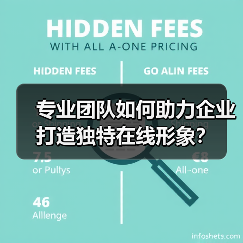 专业团队如何助力企业打造独特在线形象？（图4）