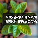 区块链技术如何改变网站建设？数据安全与版权保护新方案（图2）