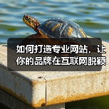 如何打造专业网站,让你的品牌在互联网脱颖而出?(图4) 如何打造专业网站,让你的品牌在互联网脱颖而出?(图4)
